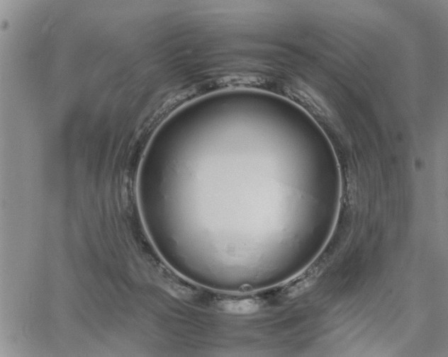 X0000064730169200602171651