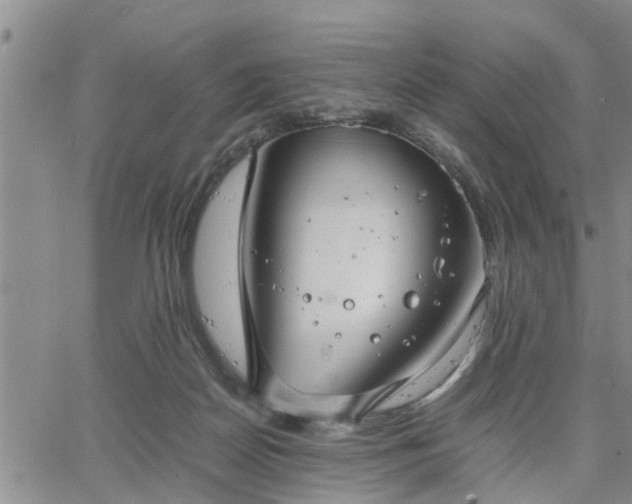 X0000064730170200602171651