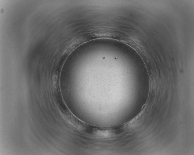 X0000064730171200602171651