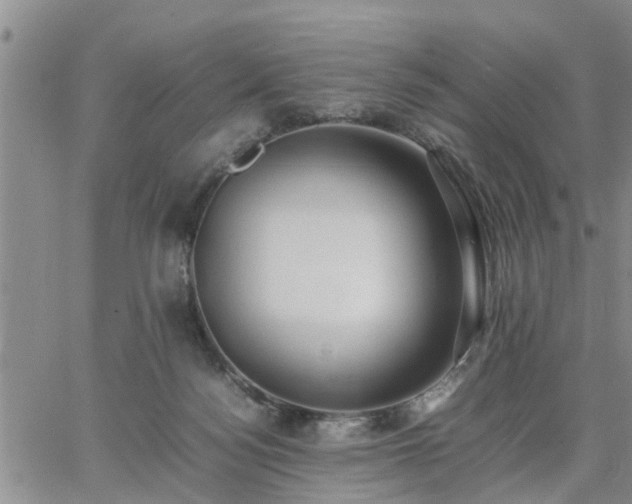 X0000064730172200602171651