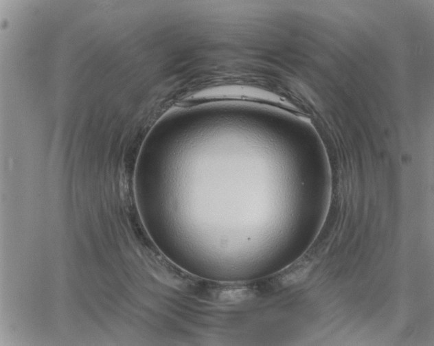 X0000064730173200602171651