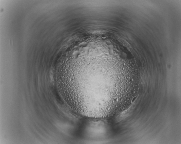 X0000064730175200602171651