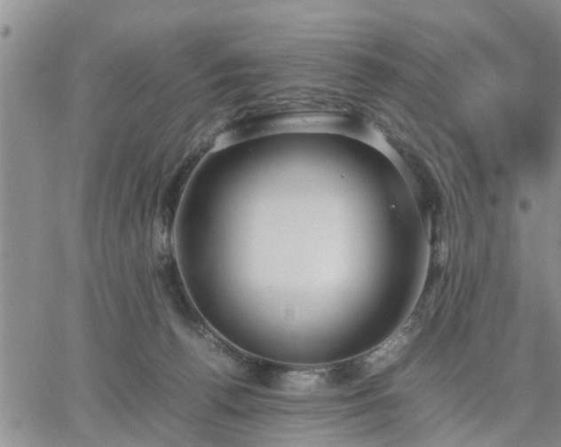 X0000064730176200602171651