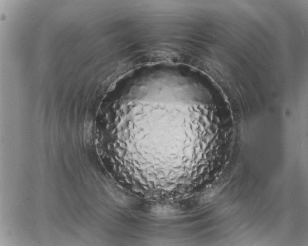 X0000064730177200602171651