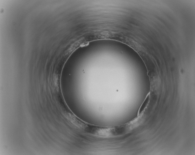 X0000064730178200602171651