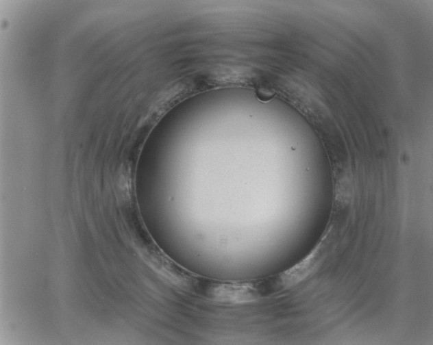 X0000064730179200602171651