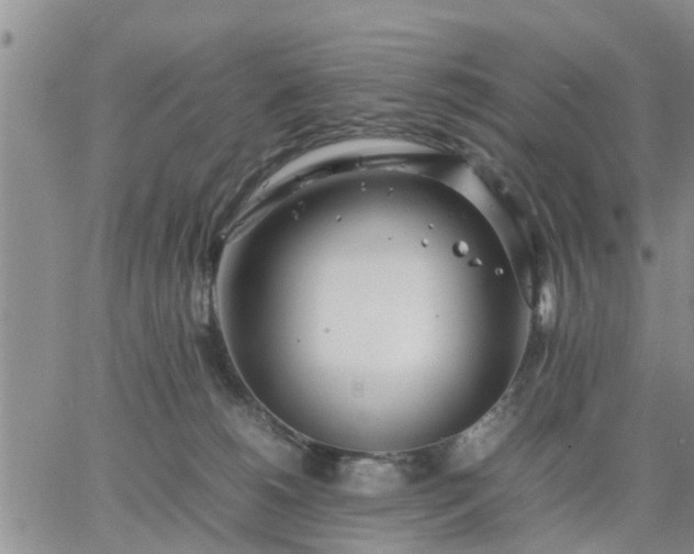 X0000064730180200602171651