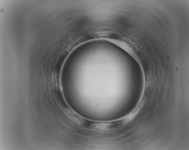 X0000064730182200602171651