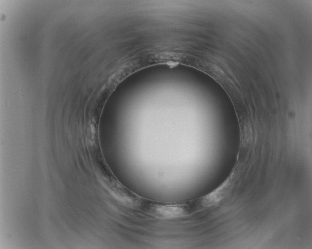 X0000064730183200602171651