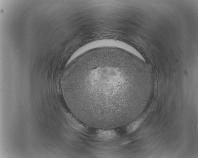 X0000064730185200602171651