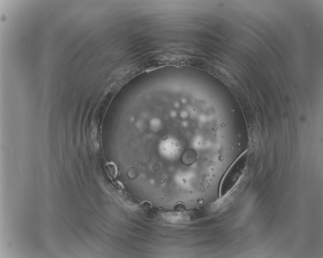 X0000064730187200602171651