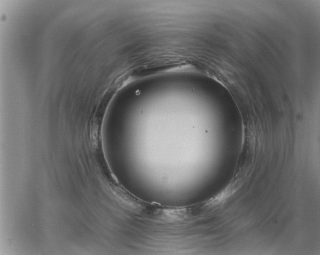 X0000064730188200602171651