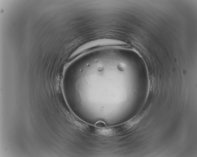 X0000064730189200602171651