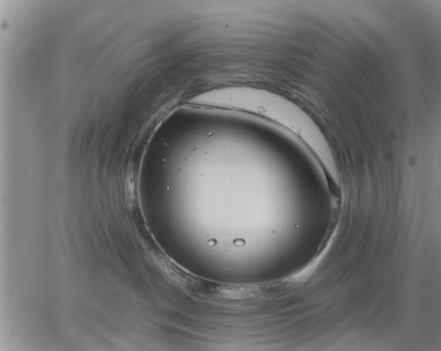 X0000064730190200602171651