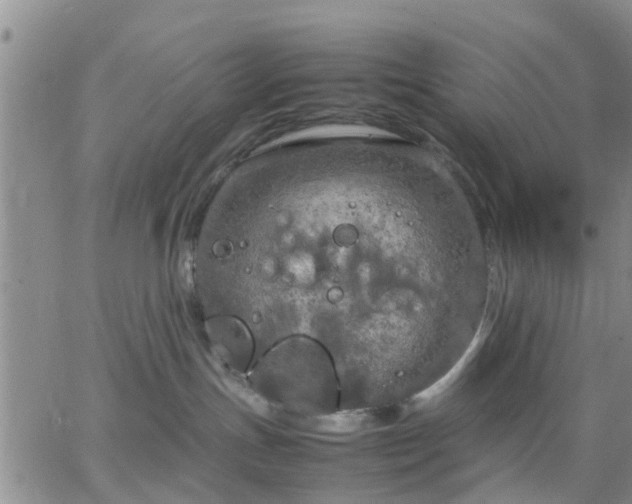 X0000064730191200602171651