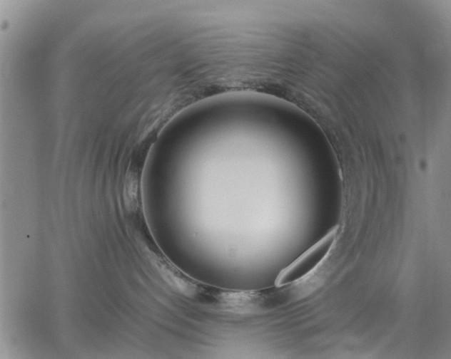 X0000064730192200602171651