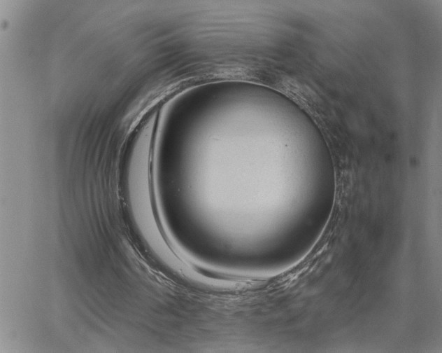 X0000064730194200602171650