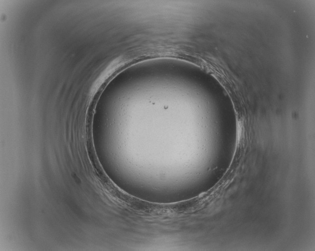 X0000064730195200602171650