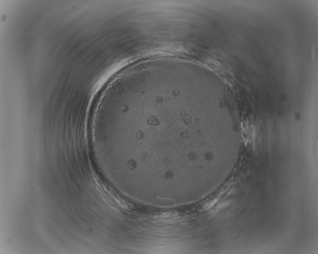 X0000064730196200602171650