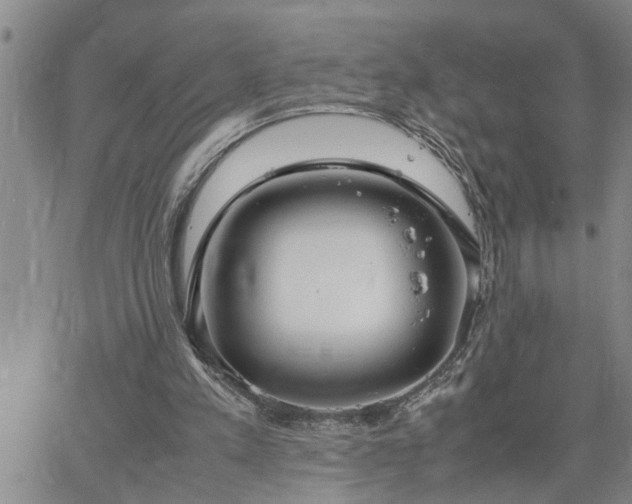 X0000064730197200602171650