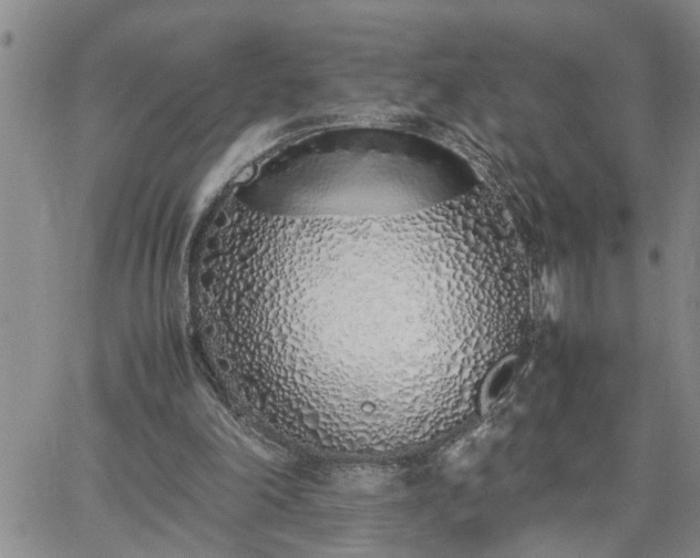 X0000064730198200602171650