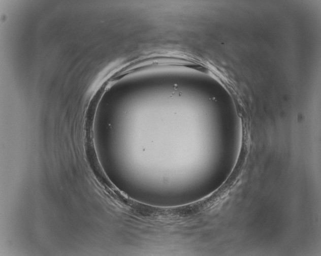 X0000064730199200602171650