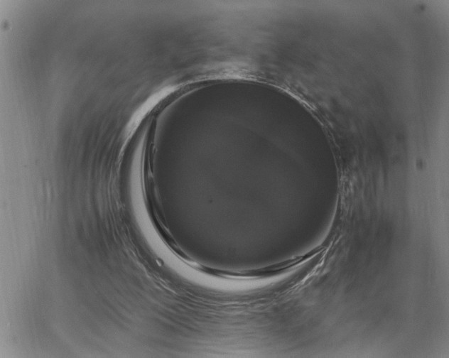 X0000064730200200602171650