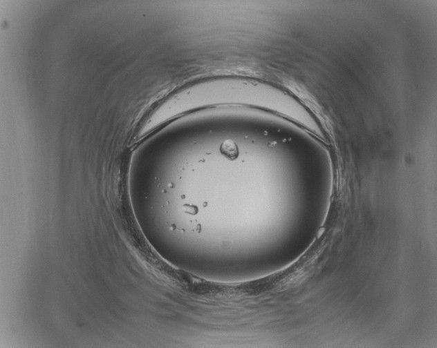 X0000064730201200602171650