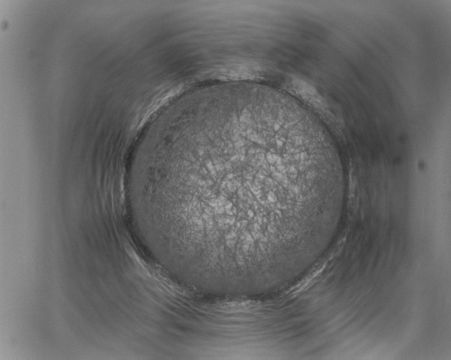 X0000064730202200602171650