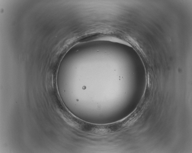 X0000064730205200602171650