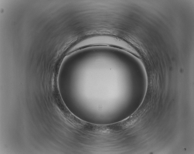 X0000064730206200602171650