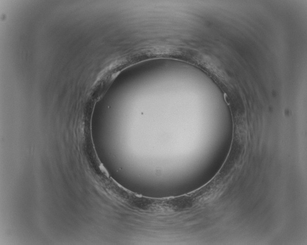 X0000064730207200602171650