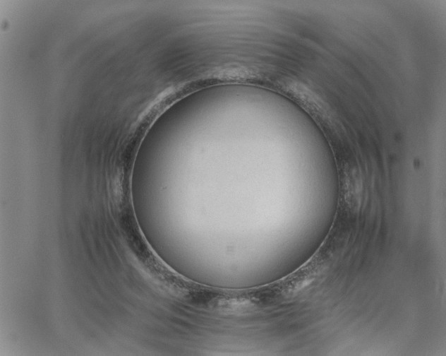 X0000064730208200602171650