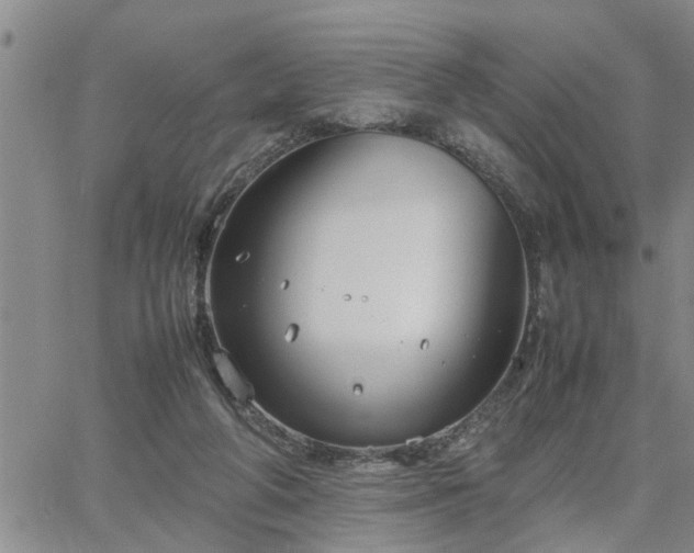 X0000064730210200602171650