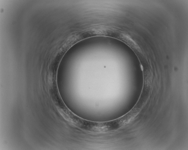 X0000064730213200602171650