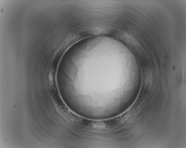 X0000064730214200602171650