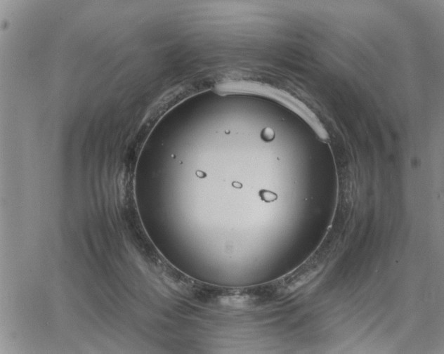 X0000064730216200602171650