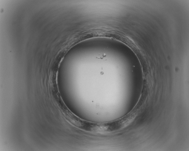 X0000064730217200602171650