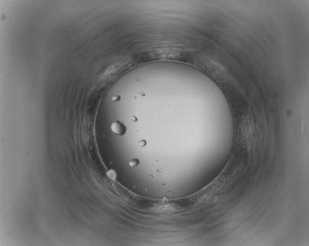 X0000064730218200602171650