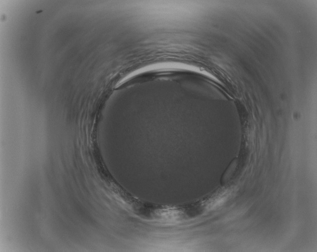 X0000064730219200602171650