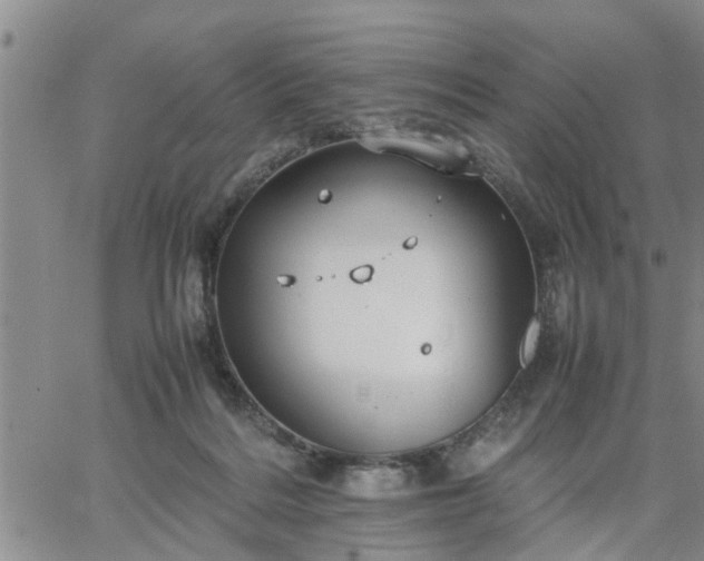 X0000064730220200602171650