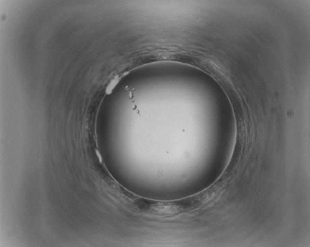 X0000064730221200602171650