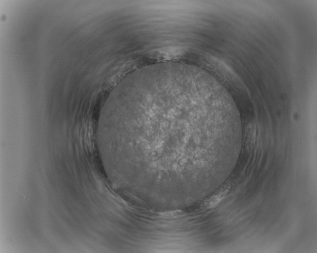 X0000064730222200602171650