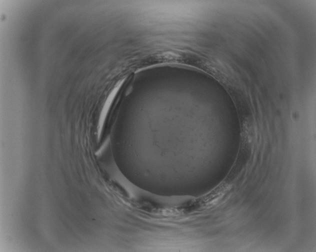 X0000064730223200602171650