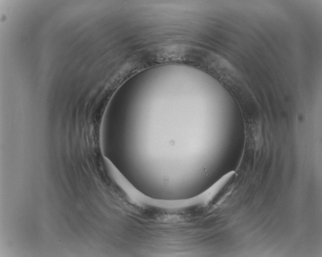 X0000064730224200602171650