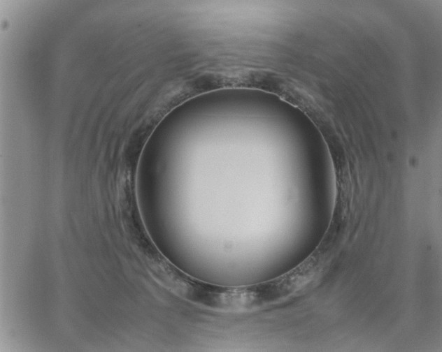 X0000064730225200602171650