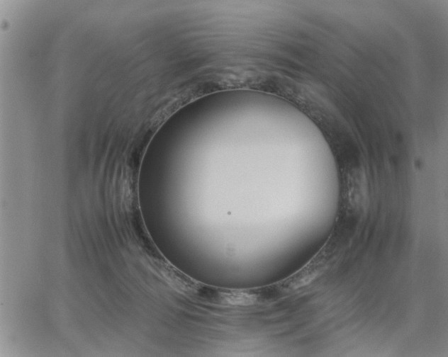 X0000064730226200602171650