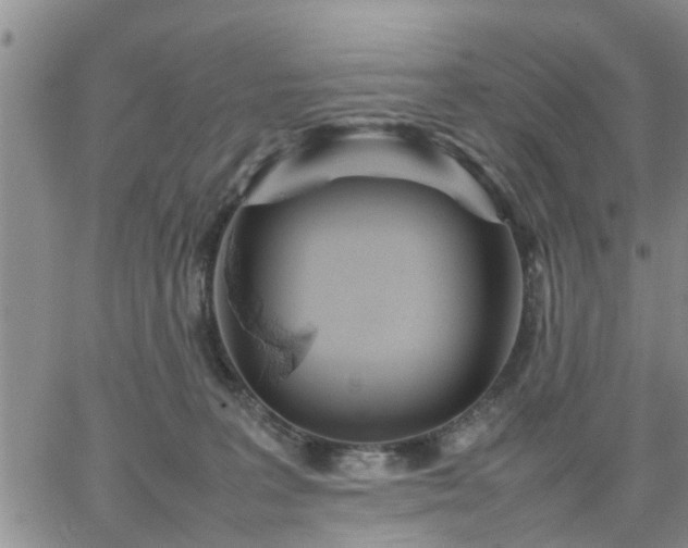 X0000064730227200602171650