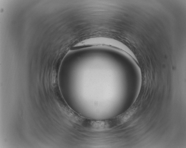 X0000064730230200602171650