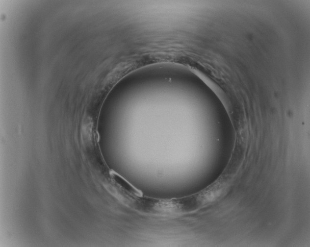 X0000064730231200602171650